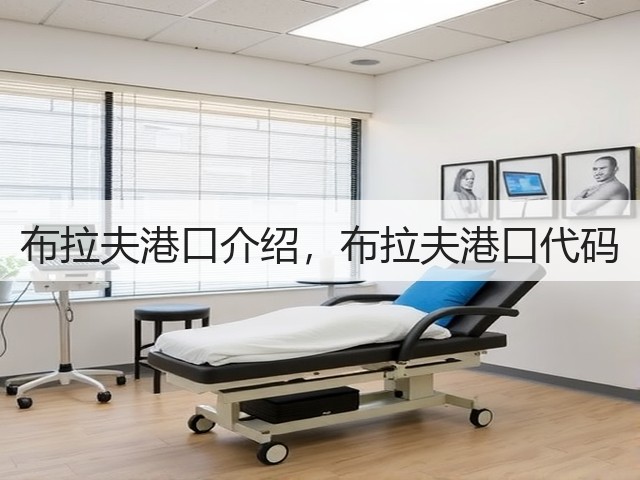 布拉夫港口介绍，布拉夫港口代码(图3)