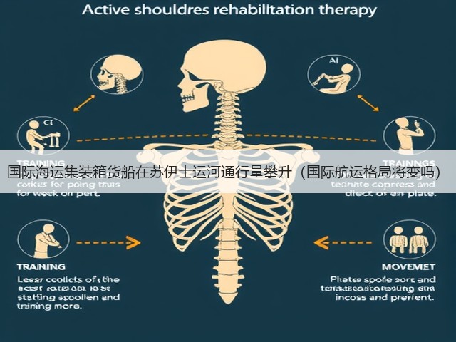 国际海运集装箱货船在苏伊士运河通行量攀升(国际航运格局将变吗)(图2) 国际海运集装箱货船在苏伊士运河通行量攀升(国际航运格局将变吗)(图2)