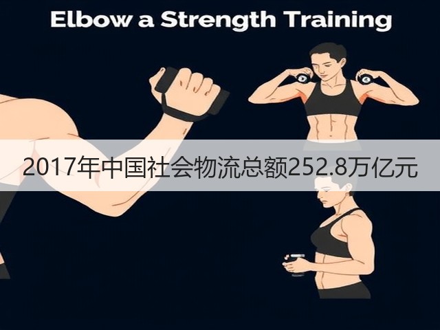 2017年中国社会物流总额252.8万亿元(图3)