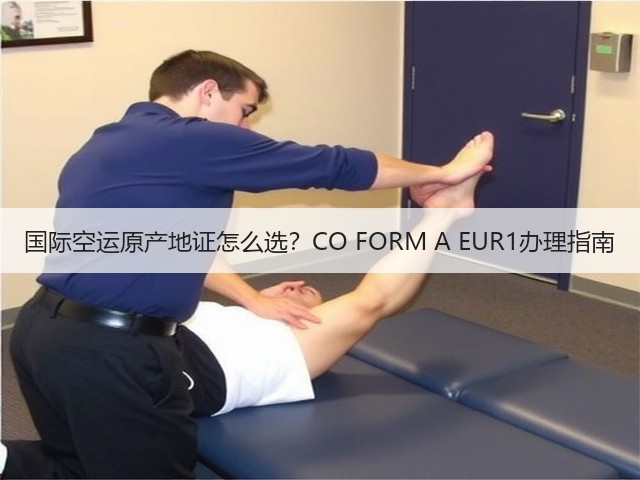 国际空运原产地证怎么选？CO FORM A EUR1办理指南(图2)