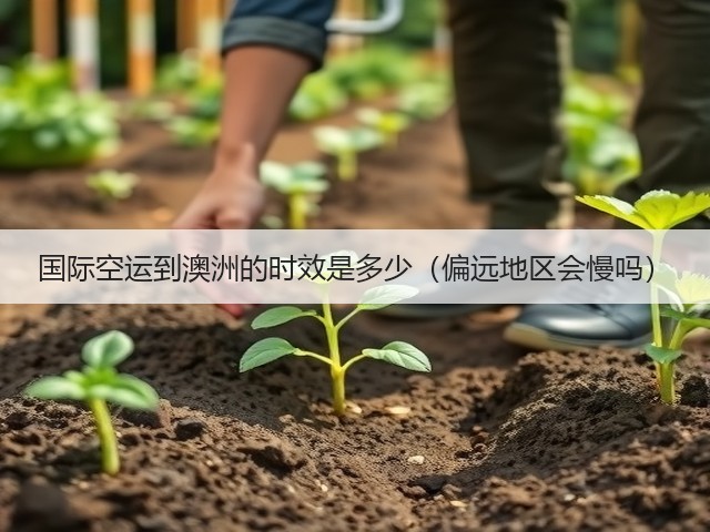 国际空运到澳洲的时效是多少(偏远地区会慢吗)(图2) 国际空运到澳洲的时效是多少(偏远地区会慢吗)(图2)