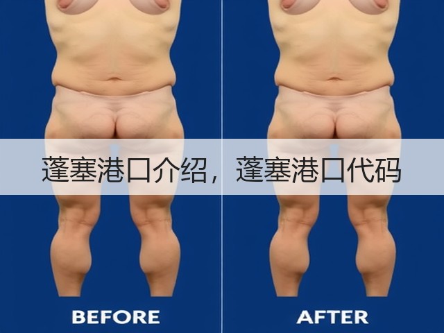 蓬塞港口介绍,蓬塞港口代码(图1) 蓬塞港口介绍,蓬塞港口代码(图1)