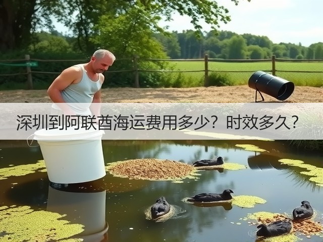 深圳到阿联酋海运费用多少?时效多久?(图3) 深圳到阿联酋海运费用多少?时效多久?(图3)