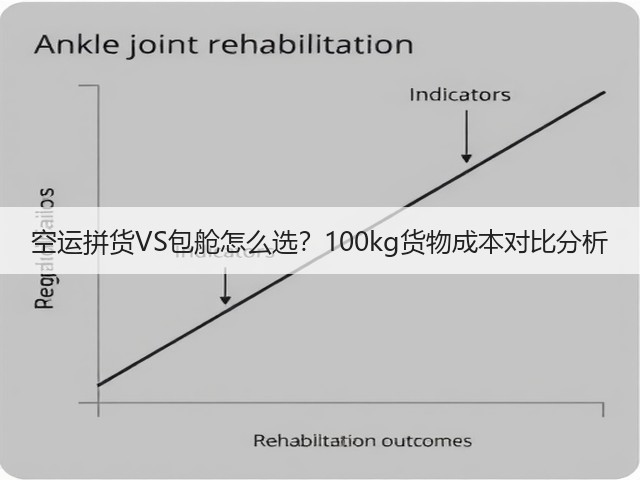 空运拼货VS包舱怎么选?100kg货物成本对比分析(图3) 空运拼货VS包舱怎么选?100kg货物成本对比分析(图3)