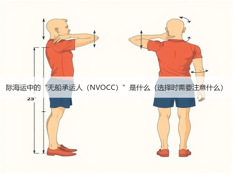 际海运中的“无船承运人（NVOCC）”是什么（选择时需要注意什么）