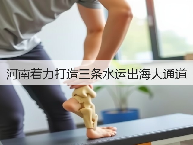 河南着力打造三条水运出海大通道(图1) 河南着力打造三条水运出海大通道(图1)