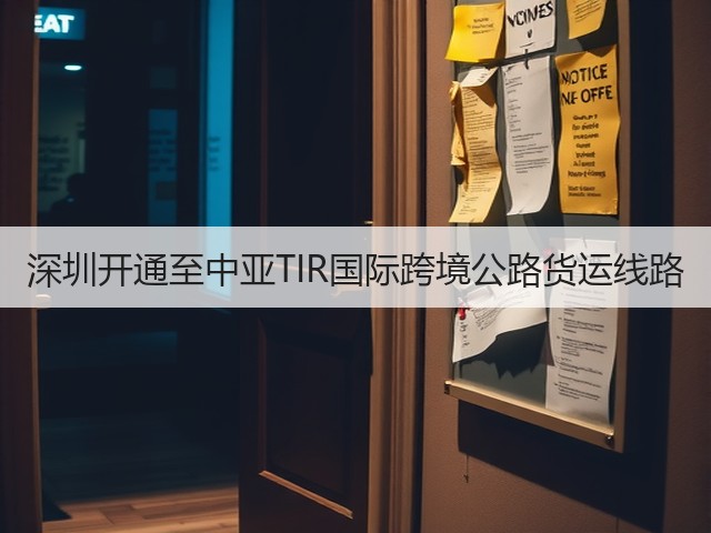 深圳开通至中亚TIR国际跨境公路货运线路(图3)