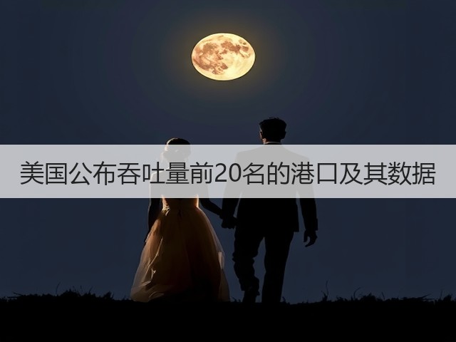 美国公布吞吐量前20名的港口及其数据(图3) 美国公布吞吐量前20名的港口及其数据(图3)