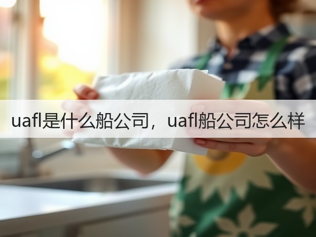 uafl是什么船公司，uafl船公司怎么样(图3)