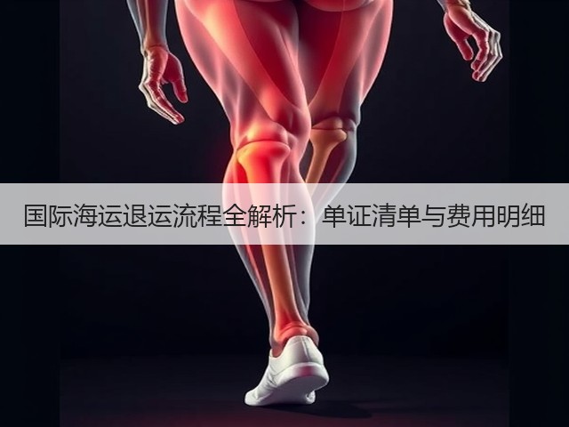 国际海运退运流程全解析：单证清单与费用明细(图1)