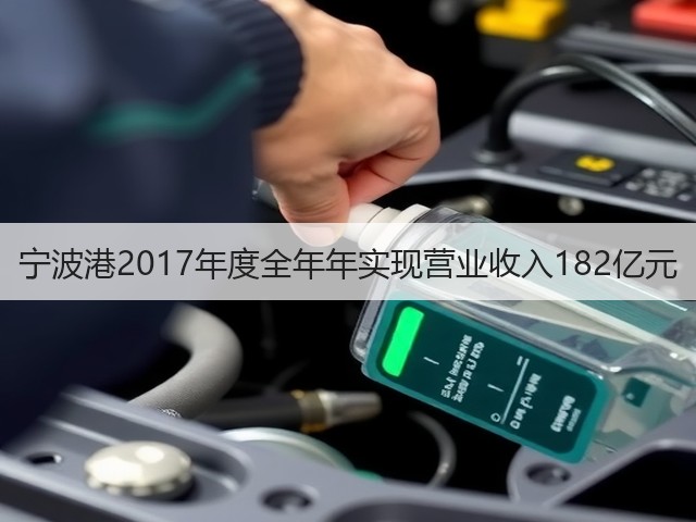 宁波港2017年度全年年实现营业收入182亿元(图3) 宁波港2017年度全年年实现营业收入182亿元(图3)