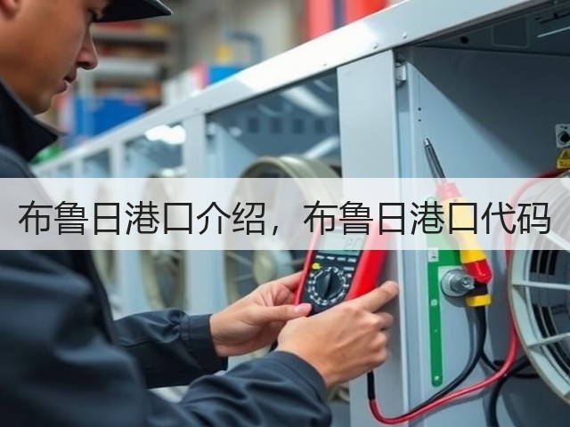 布鲁日港口介绍,布鲁日港口代码(图3) 布鲁日港口介绍,布鲁日港口代码(图3)