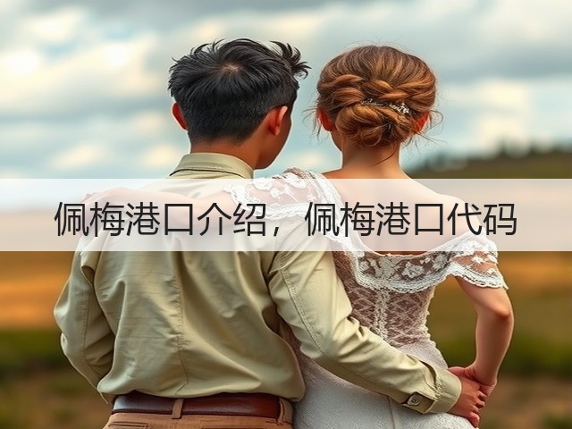 佩梅港口介绍,佩梅港口代码(图1) 佩梅港口介绍,佩梅港口代码(图1)