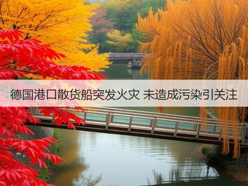 德国港口散货船突发火灾 未造成污染引关注