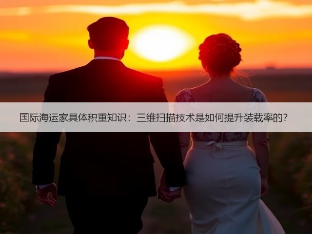 国际海运家具体积重知识:三维扫描技术是如何提升装载率的?(图2) 国际海运家具体积重知识:三维扫描技术是如何提升装载率的?(图2)