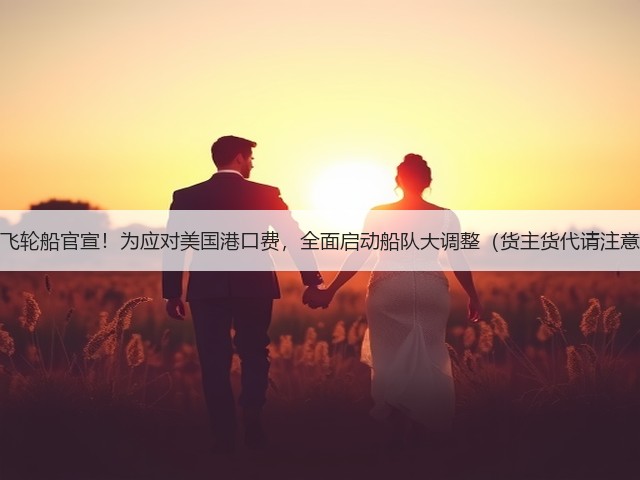 达飞轮船官宣!为应对美国港口费,全面启动船队大调整(货主货代请注意)(图3) 达飞轮船官宣!为应对美国港口费,全面启动船队大调整(货主货代请注意)(图3)
