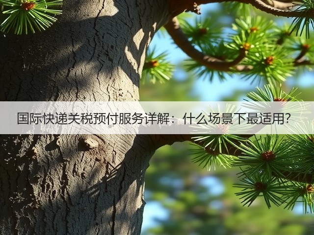 国际快递关税预付服务详解：什么场景下最适用？(图1)