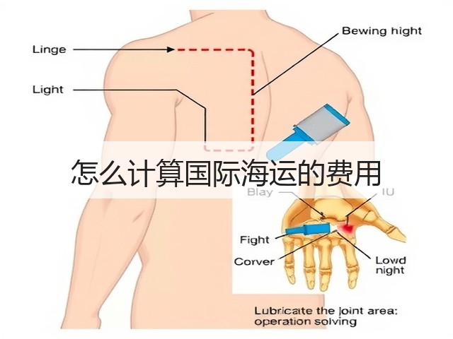 怎么计算国际海运的费用(图2) 怎么计算国际海运的费用(图2)