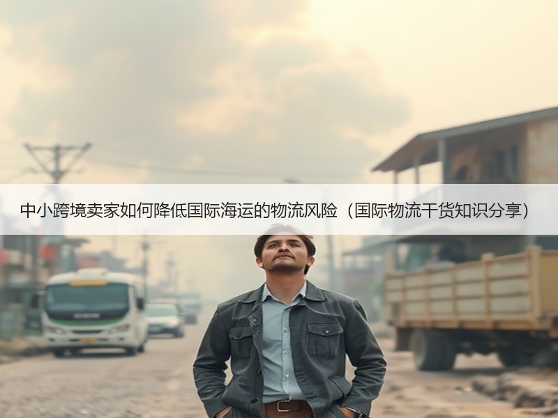 中小跨境卖家如何降低国际海运的物流风险（国际物流干货知识分享）