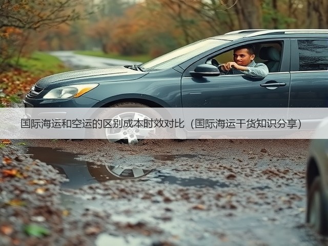 国际海运和空运的区别成本时效对比(国际海运干货知识分享)(图3) 国际海运和空运的区别成本时效对比(国际海运干货知识分享)(图3)