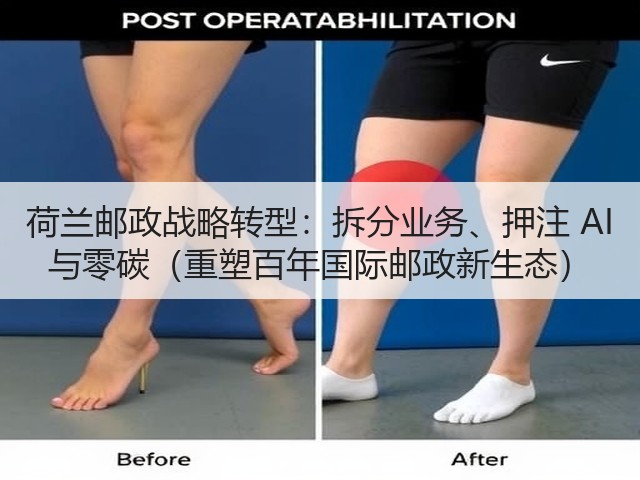 荷兰邮政战略转型:拆分业务、押注 AI 与零碳(重塑百年国际邮政新生态)(图2) 荷兰邮政战略转型:拆分业务、押注 AI 与零碳(重塑百年国际邮政新生态)(图2)