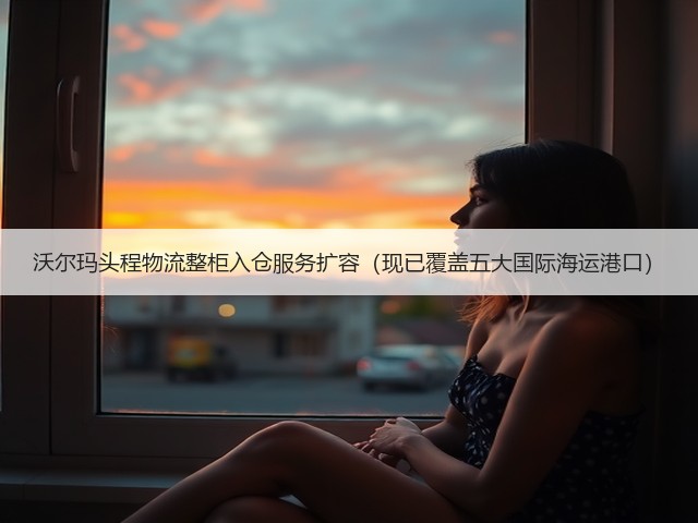 沃尔玛头程物流整柜入仓服务扩容(现已覆盖五大国际海运港口)(图3) 沃尔玛头程物流整柜入仓服务扩容(现已覆盖五大国际海运港口)(图3)