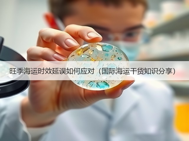 旺季海运时效延误如何应对(国际海运干货知识分享)(图2) 旺季海运时效延误如何应对(国际海运干货知识分享)(图2)