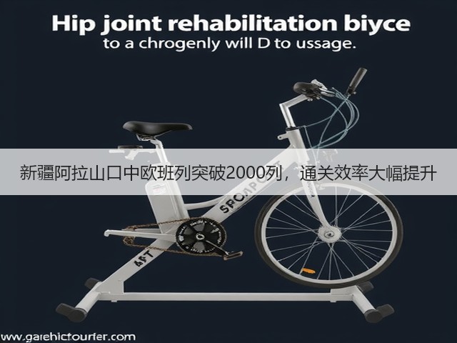 新疆阿拉山口中欧班列突破2000列,通关效率大幅提升(图3) 新疆阿拉山口中欧班列突破2000列,通关效率大幅提升(图3)