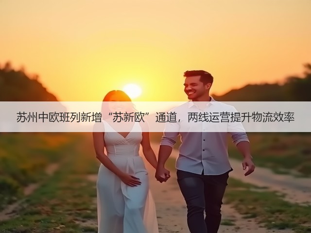 苏州中欧班列新增“苏新欧”通道,两线运营提升物流效率(图3) 苏州中欧班列新增“苏新欧”通道,两线运营提升物流效率(图3)