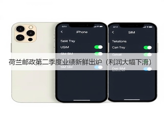 荷兰邮政第二季度业绩新鲜出炉(利润大幅下滑)(图2) 荷兰邮政第二季度业绩新鲜出炉(利润大幅下滑)(图2)