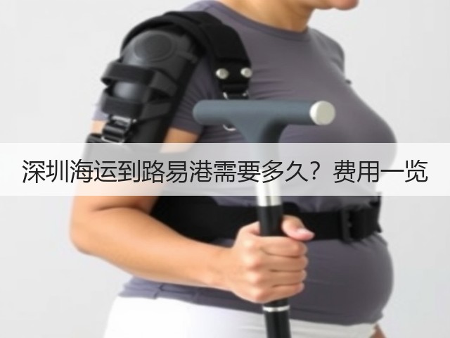 深圳海运到路易港需要多久？费用一览(图1)