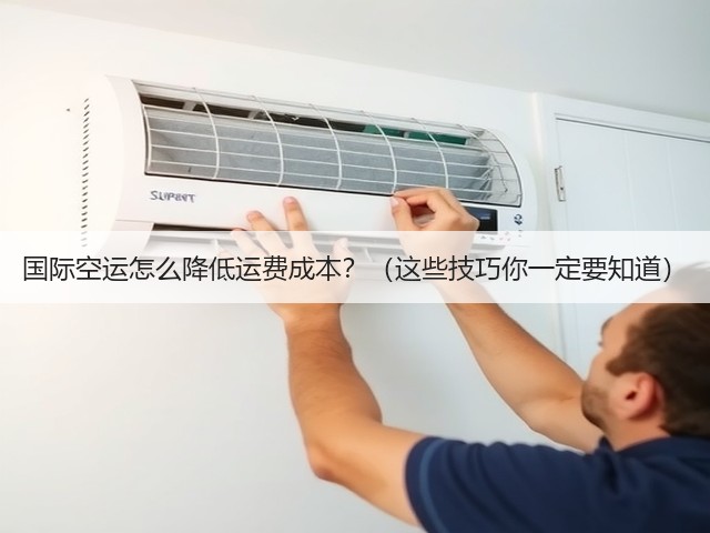 国际空运怎么降低运费成本?(这些技巧你一定要知道)(图1) 国际空运怎么降低运费成本?(这些技巧你一定要知道)(图1)