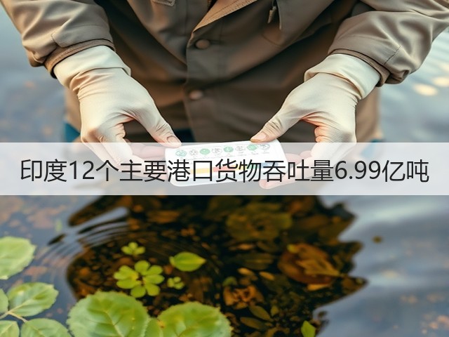 印度12个主要港口货物吞吐量6.99亿吨(图3) 印度12个主要港口货物吞吐量6.99亿吨(图3)