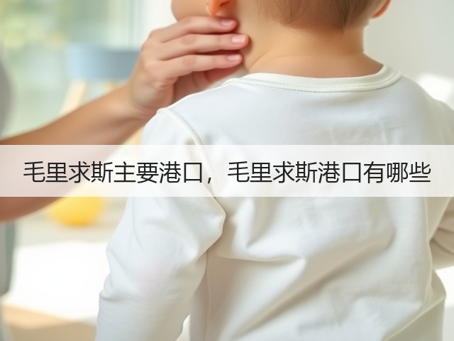 毛里求斯主要港口,毛里求斯港口有哪些(图3) 毛里求斯主要港口,毛里求斯港口有哪些(图3)