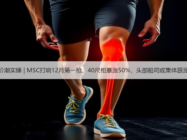 涨价潮实锤 | MSC打响12月第一枪,40尺柜暴涨50%,头部船司或集体跟涨!(图1) 涨价潮实锤 | MSC打响12月第一枪,40尺柜暴涨50%,头部船司或集体跟涨!(图1)