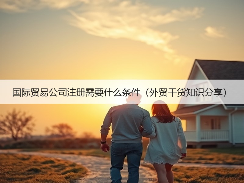 国际贸易公司注册需要什么条件(外贸干货知识分享) 国际贸易公司注册需要什么条件(外贸干货知识分享)