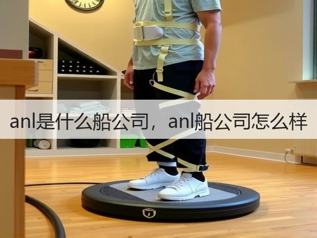 anl是什么船公司，anl船公司怎么样(图1)