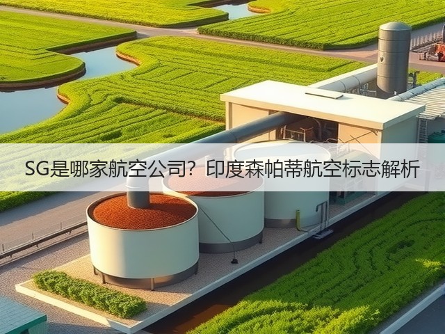 SG是哪家航空公司?印度森帕蒂航空标志解析(图2) SG是哪家航空公司?印度森帕蒂航空标志解析(图2)
