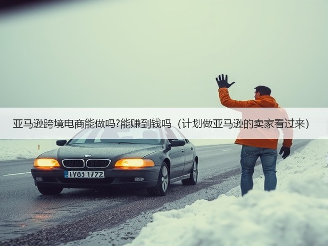 亚马逊跨境电商能做吗?能赚到钱吗(计划做亚马逊的卖家看过来)(图3) 亚马逊跨境电商能做吗?能赚到钱吗(计划做亚马逊的卖家看过来)(图3)