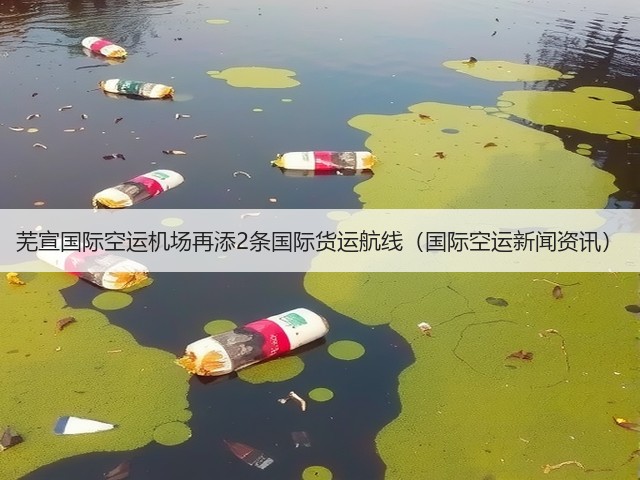 芜宣国际空运机场再添2条国际货运航线(国际空运新闻资讯)(图3) 芜宣国际空运机场再添2条国际货运航线(国际空运新闻资讯)(图3)