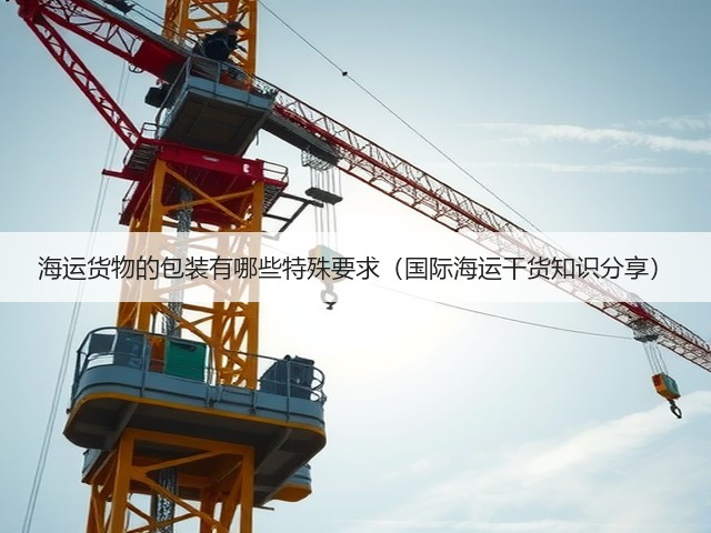 海运货物的包装有哪些特殊要求（国际海运干货知识分享）(图1)