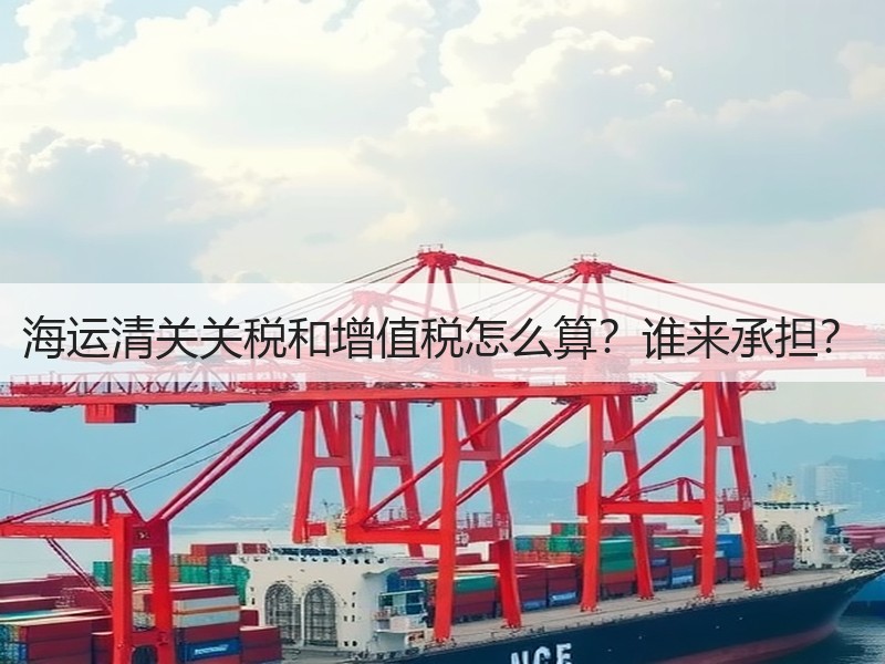 海运清关关税和增值税怎么算？谁来承担？