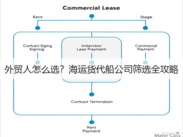 外贸人怎么选?海运货代船公司筛选全攻略(图3) 外贸人怎么选?海运货代船公司筛选全攻略(图3)