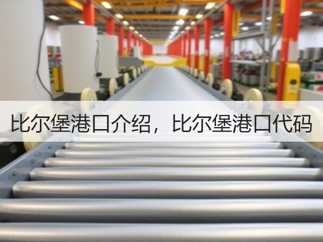 比尔堡港口介绍，比尔堡港口代码(图1)