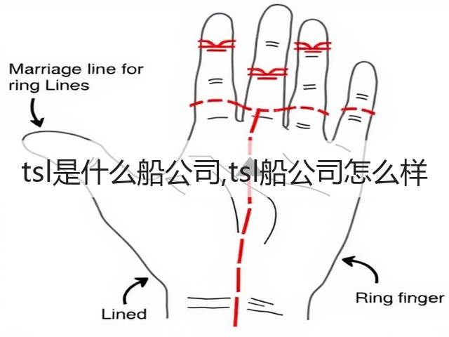 tsl是什么船公司,tsl船公司怎么样(图1) tsl是什么船公司,tsl船公司怎么样(图1)