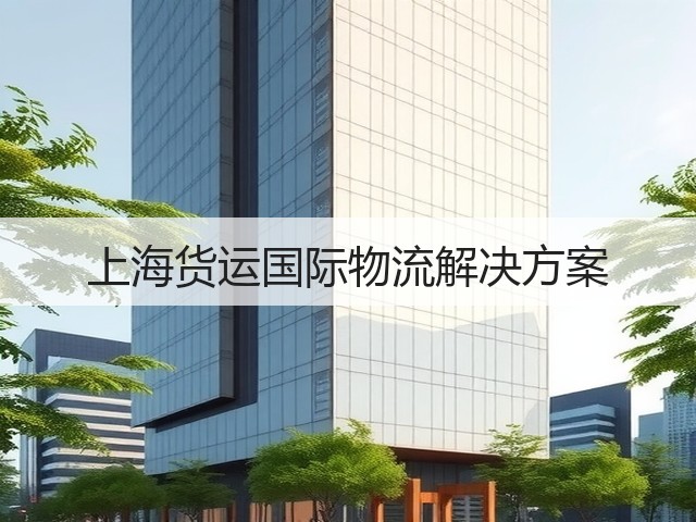 上海货运国际物流解决方案(图3)
