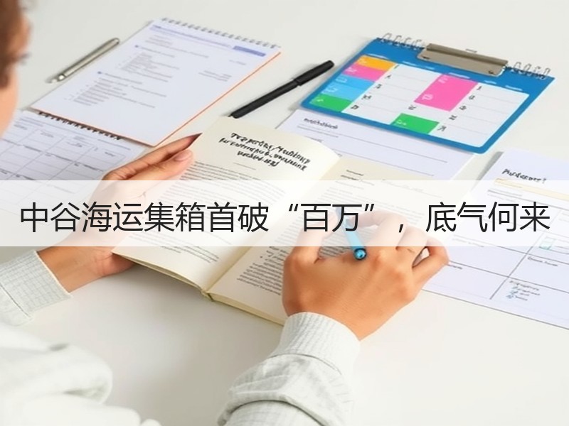 中谷海运集箱首破“百万”，底气何来