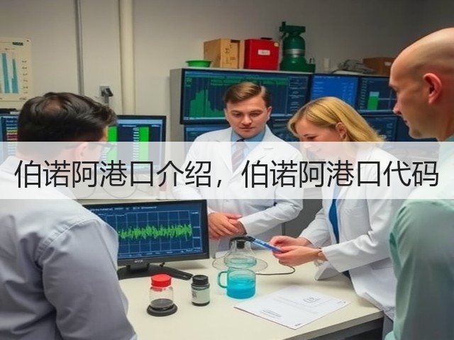 伯诺阿港口介绍,伯诺阿港口代码(图1) 伯诺阿港口介绍,伯诺阿港口代码(图1)