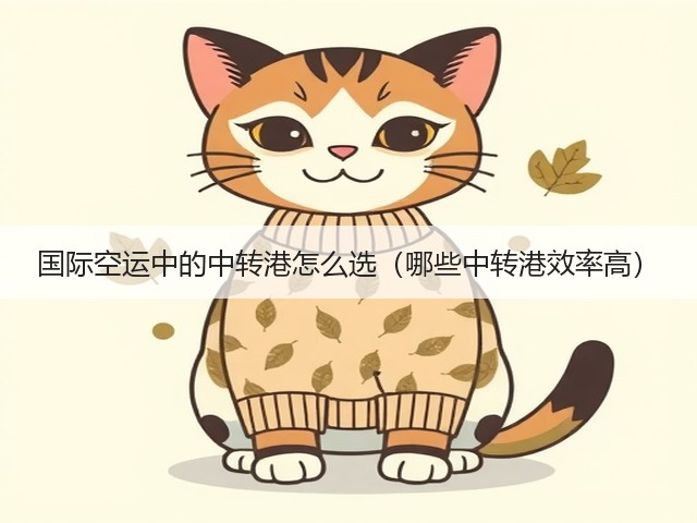 国际空运中的中转港怎么选（哪些中转港效率高）(图3)
