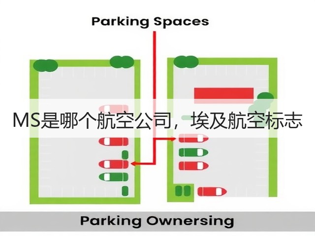 MS是哪个航空公司，埃及航空标志(图3)